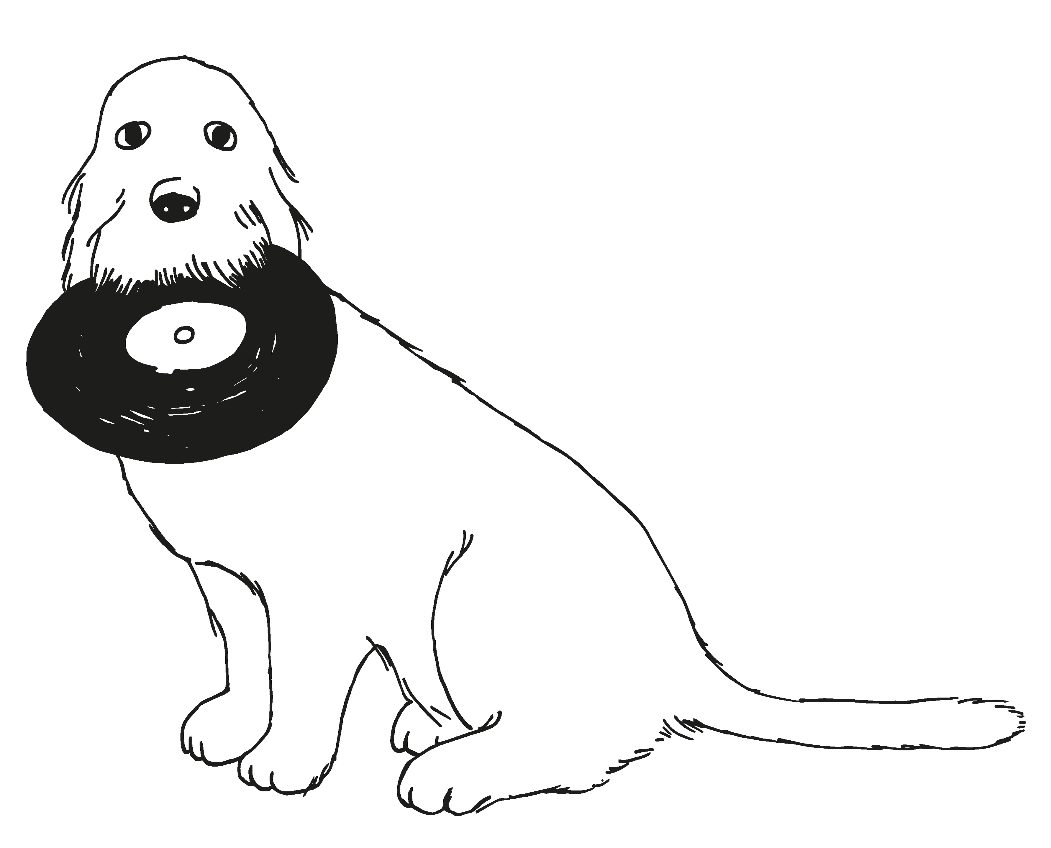 Zardoz-Schallplatten 